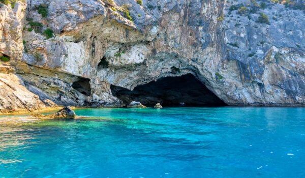 Family and friends private full day sea cruise