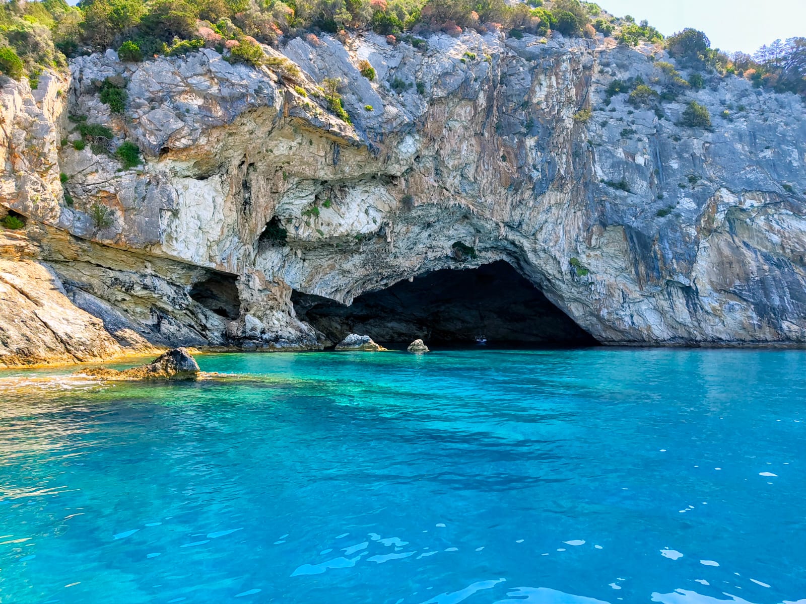 Family and friends private full day sea cruise